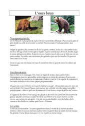 ce2 lecture l'ours brun