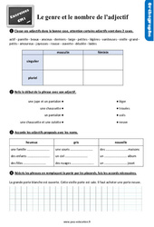 Le genre et le nombre de l’adjectif au Cm1 - Exercices, révisions - PDF à imprimer