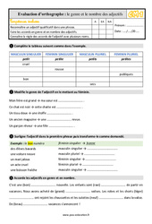 Le genre et le nombre de l’adjectif au Cm1 - Évaluation, bilan - PDF à imprimer