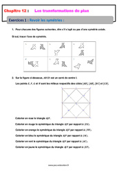 Revoir les symétries - 4ème - Révisions - Exercices avec correction sur les transformations du plan - PDF à imprimer