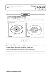 Développement de l'oeuf de poule – Exercices – Cm1 – Cm2 – Sciences – Cycle 3 - PDF à imprimer