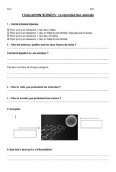 Reproduction animale – Cm1 - Cm2 - Evaluation - PDF à imprimer