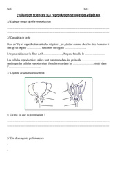 Reprodution sexuée des végétaux - Ce2 - Cm1 - Evaluation - PDF à imprimer