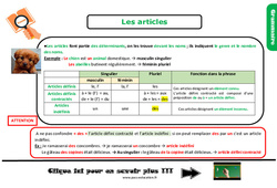 Les articles – Cm2 - Leçon, trace écrite - PDF gratuit à imprimer