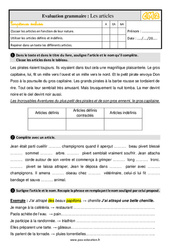Les articles au Cm2 - Évaluation, bilan avec la correction - PDF à imprimer