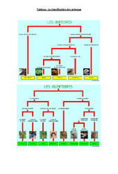 Classification des animaux – Leçon –  Cm2 – Sciences – Cycle 3 - PDF gratuit à imprimer