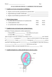 Reproduction humaine - Cm2 - Evaluation - PDF à imprimer