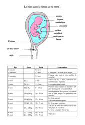 Schéma du foetus dans le ventre - Leçon - Cm2 - Sciences - Cycle 3