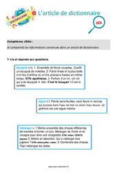 Article de dictionnaire - Ce2 - Séance découverte à manipuler - PDF à imprimer
