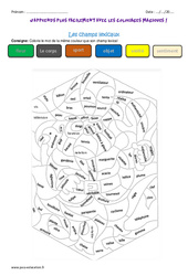 Champs lexicaux - Cm2 - Coloriage magique - PDF à imprimer