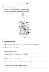 Digestion - Ce2 - Cm1 - Evaluation - PDF à imprimer
