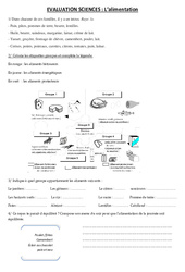 Alimentation - Ce2 - Cm1 - Cm2 - Evaluation - PDF à imprimer
