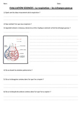 Respiration – Echanges gazeux - Cm1 - Cm2  - Evaluation - Cycle 3 - PDF à imprimer