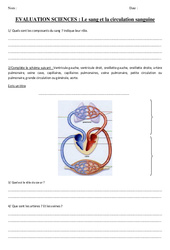 Le sang et la circulation sanguine - Evaluation - Cm2 - PDF à imprimer