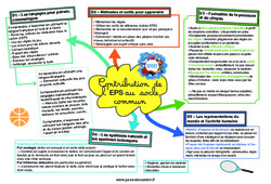 Contribution de l'EPS au socle commun - Carte mentale CRPE 2025 - PDF à imprimer