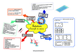 Natation (Exemple de séance) - Carte mentale CRPE 2025 - PDF à imprimer