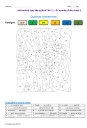 Quelques homophones - Cm1 - Coloriage magique - PDF à imprimer