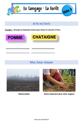 La forêt - MS - GS - Langage - Expression orale - EMC - PDF à imprimer