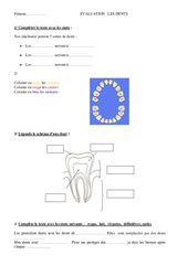 Dents - Evaluation - Ce2 - PDF à imprimer