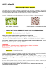 La nutrition à l’échelle cellulaire - 4ème - Séquence complète - PDF à imprimer