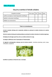 La nutrition à l’échelle cellulaire - 4ème - Exercices corrigés - PDF à imprimer