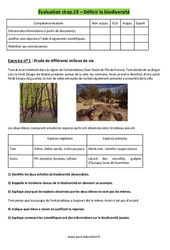 Définir la biodiversité - 4ème - Evaluation avec les corrigés - PDF à imprimer
