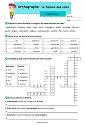 Le féminin des noms – Exercices d'orthographe pour le ce2 - PDF à imprimer