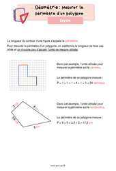 Mesurer le périmètre d’un polygone – Leçon de géométrie pour le ce2 <small style='color:inherit;'>(téléchargement gratuit)</small>