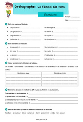 Le féminin des noms – Exercices d'orthographe pour le cm1 - PDF à imprimer