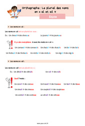 Le pluriel des noms en al et ail – Leçon d'orthographe pour le cm1 - PDF gratuit à imprimer