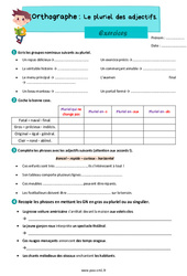 Le pluriel des adjectifs – Exercices d'orthographe pour le cm1 - PDF à imprimer