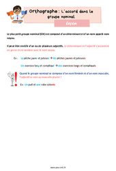 L’accord dans le groupe nominal – Leçon d'orthographe pour le cm1 - PDF gratuit à imprimer