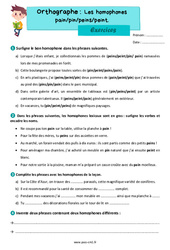 Les homophones lexicaux : pain pin peins peint – Exercices d'orthographe pour le cm1 - PDF à imprimer