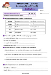Le pluriel des adjectifs qualificatifs - Évaluation d'orthographe pour le cm2 - PDF à imprimer