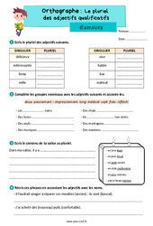 Le pluriel des adjectifs qualificatifs - Exercices d'orthographe pour le cm2 - PDF à imprimer