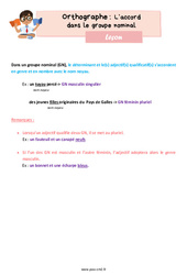 L'accord dans le groupe nominal - Leçon d'orthographe pour le cm2 - PDF gratuit à imprimer