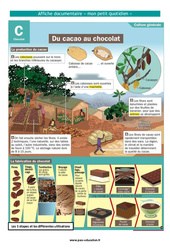 Du cacao au chocolat - Ce2 - Affiche documentaire - PDF à imprimer