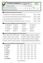 Les noms masculins en [e] au Ce2 - Evaluation: QCM - Quiz  - PDF à imprimer