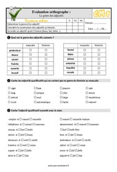 Le genre des adjectifs au Cm1 - Evaluation: QCM - Quiz - PDF à imprimer
