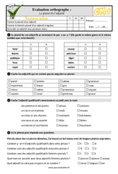 Le pluriel de l’adjectif au Cm1 - Evaluation: QCM - Quiz  - PDF à imprimer