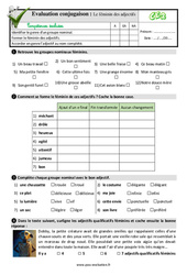 Le féminin des adjectifs au CE2 - Evaluation: QCM - Quiz - PDF à imprimer