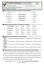 L’accord des adjectifs au Ce2 - Evaluation: QCM - Quiz - PDF à imprimer