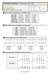 L’addition des nombres entiers au Cm1 - Evaluation: QCM - Quiz à imprimer