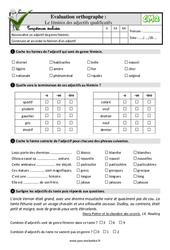 Le féminin des adjectifs qualificatifs au Cm2 - Evaluation: QCM - Quiz  - PDF à imprimer