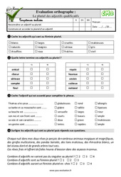 Le pluriel des adjectifs qualificatifs au Cm2 - Evaluation: QCM - Quiz  - PDF à imprimer