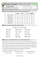Le pluriel des noms composés au Cm2 - Evaluation: QCM - Quiz  - PDF à imprimer
