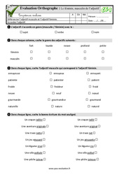 Le féminin, masculin de l’adjectif au CE1 - Evaluation: QCM - Quiz - PDF à imprimer