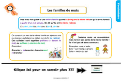 Evaluation avec le corrigé pour le Ce1 sur les familles de mots - Bilan  - PDF à imprimer