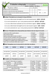 Les homophones grammaticaux Quel(s) / Quelle(s) / Qu’elle(s) : Cm2 - Evaluation: QCM - Quiz - PDF à imprimer