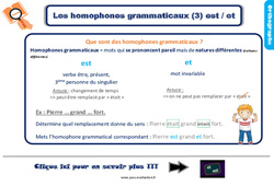 Bilan  sur les homophones grammaticaux est / et au Ce2 - Evaluation avec la correction - PDF à imprimer